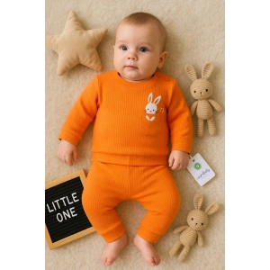 Cepli Tavşan Nakışlı % 100 Pamuk 2li Kız Bebek Takımı