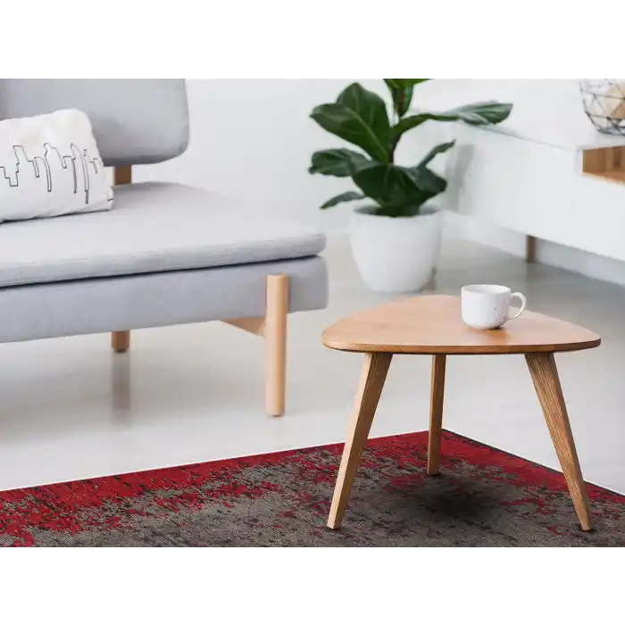 TRIBAL HALI 0176 Vintage Desenli Modern İnce Dokuma Halı