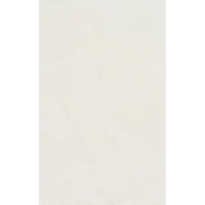 LUGANO HALI 0306 Kolay Kullanımlı Yüksek Kalite Sık Dokuma Salon Halısı