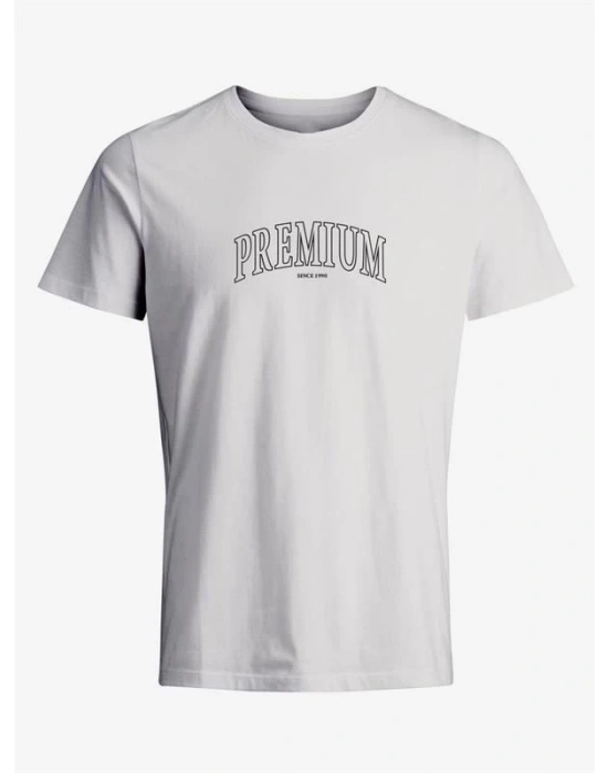 Premium Baskı Basic Erkek T-Shirt