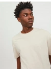 12249319 Bisiklet Yaka Erkek T-Shirt