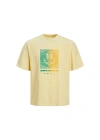 Baskılı Erkek T-Shirt