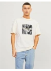 Flamlı Kumaş Baskılı Erkek T-Shirt