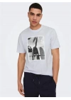 Regular Fit Bisiklet Yaka Erkek T-Shirt