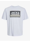 Standart Fit Baskılı Erkek T-Shirt