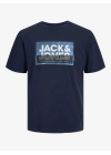 Standart Fit Baskılı Erkek T-Shirt