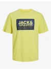 Standart Fit Baskılı Erkek T-Shirt