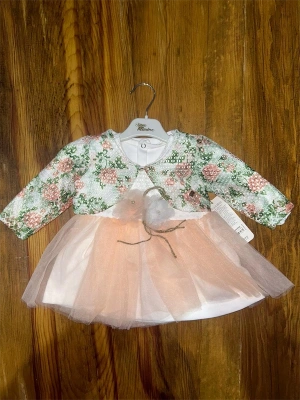 9-18 Aylık Prenses Elbise Pudra