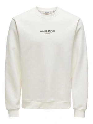 Sıfır Yaka Şardonlu Erkek Sweatshirt