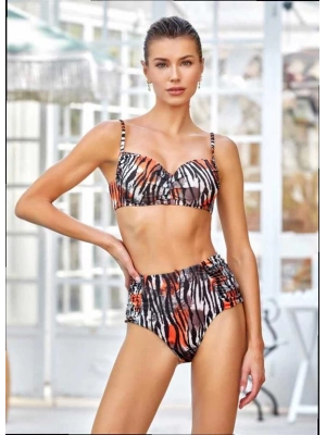 Zebra Desen İkili Takım Bikini