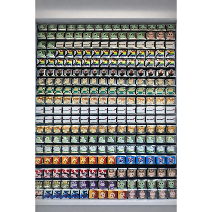 Nomi Charm Ucu 5li Set (Rastgele Seçim)