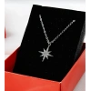 Yıldız Taşlı Çelik Gümüş Renkli Kolye