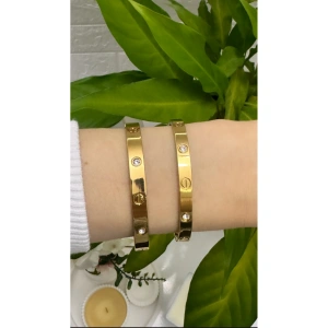 Çelik Taşlı Bileklik (Cartie)