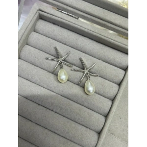 Gümüş Renkli Deniz Yıldızı Detaylı Küpe