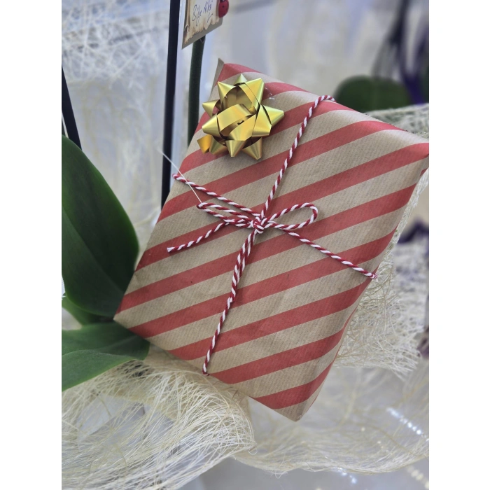 Advent Calendar Takı Seti Gold Renkli 7li Sürpriz Lüks Paket