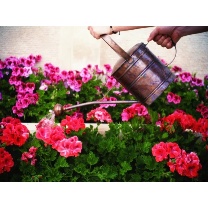 BAKIR SULAK BAHÇIVAN MODEL OKSİTLİ RENK