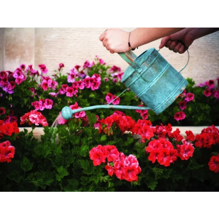 BAKIR SULAK BAHÇIVAN MODEL YEŞİL OKSİT