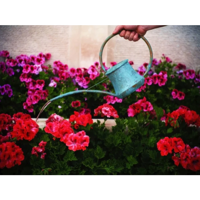 BAKIR SULAK KÜÇÜK MODEL YEŞİL OKSİT RENK