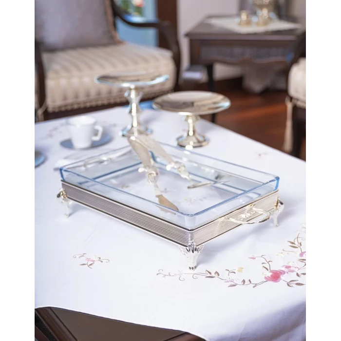 GÜMÜŞ KAPLAMA DİKDÖRTGEN CAMLI SERVİSLİK no:2