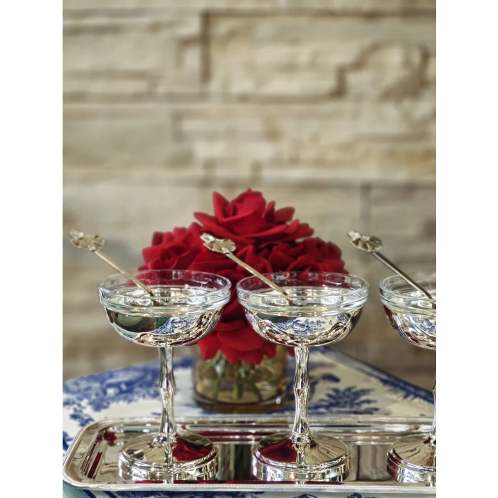 GÜMÜŞ KAPLAMA DONDURMALIK