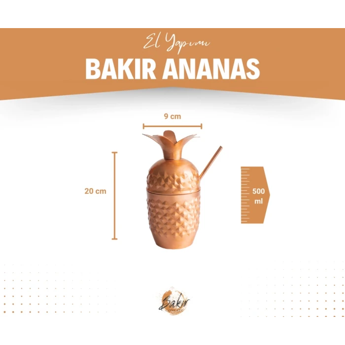 BAKIR KOKTEYL BARDAĞI ANANAS MODEL 2Lİ MAT BAKIR RENK