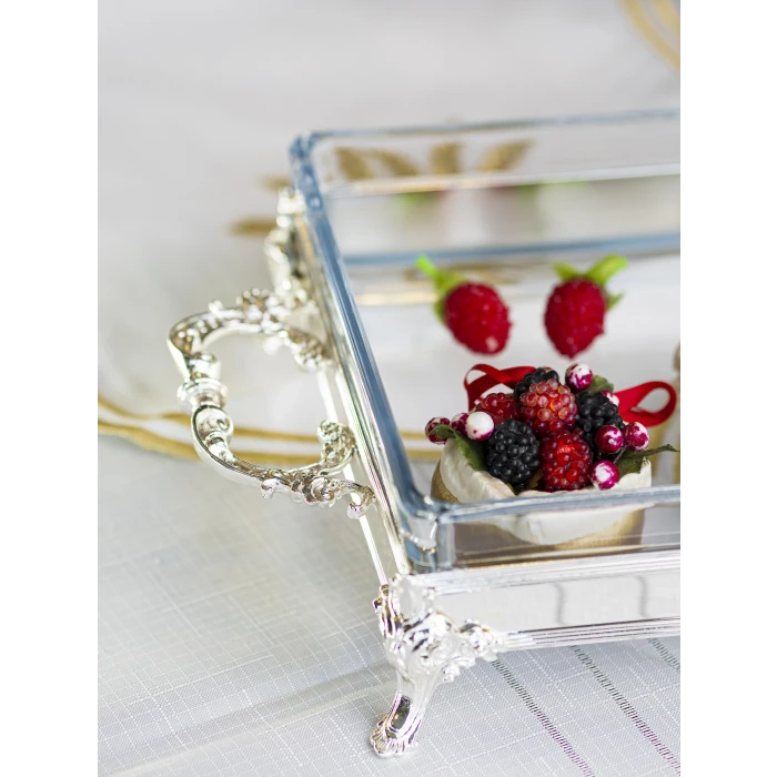 GÜMÜŞ KAPLAMA KAPAKLI SUNUMLUK KARE FORM KUMLU DOKU no1