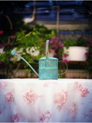 BAKIR SULAK BAHÇIVAN MODEL YEŞİL OKSİT