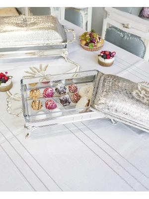 GÜMÜŞ KAPLAMA KAPAKLI SUNUMLUK DİKDÖRTGEN FORM KUMLU DOKU NO1