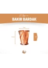 Bakır Bardak Kısa Şerbet Model Bakır Renk 2li (Kalaysız)