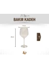 Bakır Kadeh Modern Model Gümüş Renk 2li