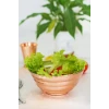 BAKIR SALATA KASESİ DİLİMLİ MODEL PARLAK BAKIR RENK