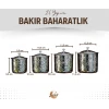 BAKIR BAHARAT TAKIMI DESEN KAKMALI MODEL GÜMÜŞ RENK (4LÜ)