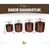 BAKIR BAHARAT TAKIMI DESEN KAKMALI MODEL OKSİT RENK (4LÜ)
