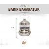 BAKIR BAHARATLIK CAMLI HAZNELİ MİNİ BOY 3LÜ SET
