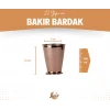 Bakır Bardak Kısa Şerbet Model Parlak Renk 2li