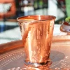 Bakır Bardak Kısa Şerbet Model Bakır Renk 2li (Kalaysız)