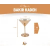 Bakır Kadeh Martini Model Düz Parlak Bakır Renk 2li