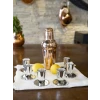 BAKIR SHOT BARDAĞI MEKSİKA GÜMÜŞ RENK 6LI SET(12 PARÇA)