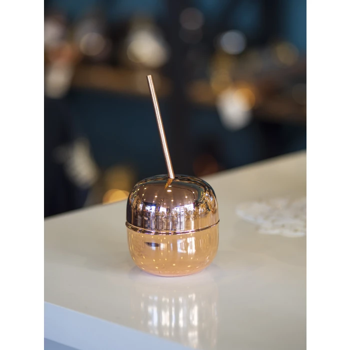 BAKIR KOKTEYL BARDAĞI ELMA FORM VE PİPET PARLAK BAKIR RENK