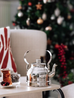 BAKIR DEMLİK MODERN MODEL GÜMÜŞ RENK