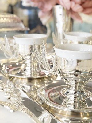 GÜMÜŞ KAPLAMA FİNCAN TAKIMI TÜĞ DETAYLI