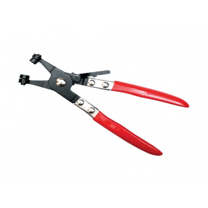 HORTUM KELEPÇE PENSESİ