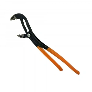 RİCO PAPAĞAN PENSE BÜYÜK 10