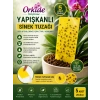 Yapışkanlı Sinek Tuzağı 5 Adet