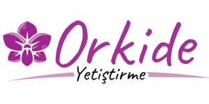 Orkide Yetiştirme