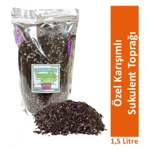 Sukulent Toprağı