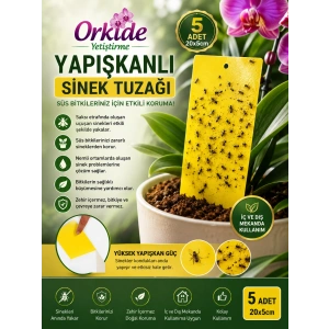 Yapışkanlı Sinek Tuzağı 5 Adet