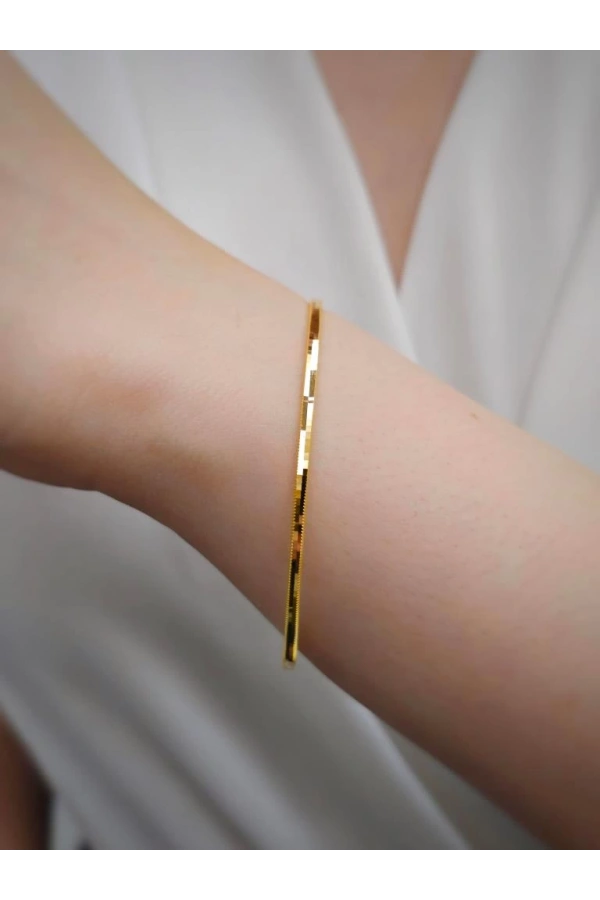 22 Ayar 10gr Ajda İşçiliksiz Bilezik