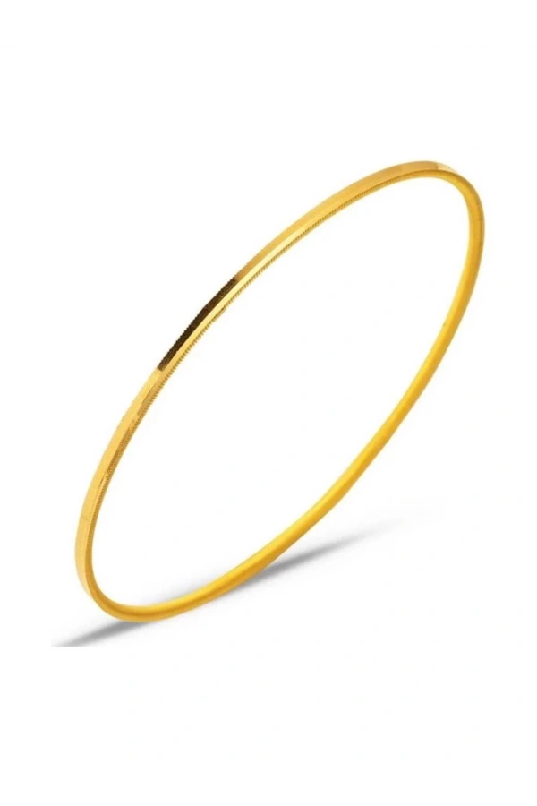 22 Ayar 10gr Ajda İşçiliksiz Bilezik