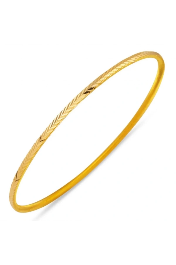 22 Ayar 10gr Başak Ajda İşçiliksiz Bilezik